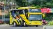 buspariwisata.id - foto bus pariwisata sumber larees c