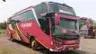 buspriwisata.id - foto bus pariwisata komara d