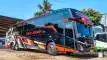 buspariwisata.id - foto bus pariwisata nusa bhakti trans d