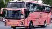 buspriwisata.id - foto bus pariwisata muji jaya f