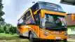 buspriwisata.id - foto bus pariwisata maxi 77 trans c