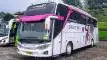 buspariwisata.id - foto bus pariwisata gracias f