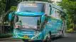 buspriwisata.id - foto bus pariwisata samudra trans e