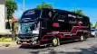 buspariwisata.id - foto bus pariwisata sgn holiday e