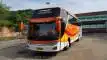 buspriwisata.id - foto bus pariwisata semanta transport c