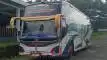 buspariwisata.id - foto bus pariwisata teguh muda d