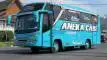 buspriwisata.id - foto bus pariwisata aneka cabe b