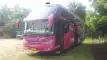 buspariwisata.id - foto bus pariwisata midas nusantara f
