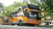 buspriwisata.id - foto bus pariwisata maxi 77 trans d