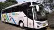 buspariwisata.id - foto bus pariwisata travelink c