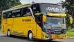 buspariwisata.id - foto bus pariwisata ms madani g