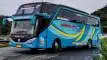 buspariwisata.id - foto bus pariwisata sumber jaya trans c