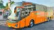 buspariwisata.id - foto bus pariwisata tividi a