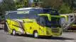 buspariwisata.id - foto medium bus pariwisata tisal group a