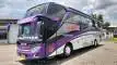 buspariwisata.id - foto bus pariwisata solaris jaya a