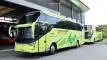 buspriwisata.id - logo bus pariwisata tami jaya e