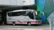 buspariwisata.id - foto medium bus pariwisata white horse a
