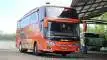 buspariwisata.id - foto bus pariwisata sedya mulya c