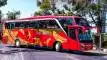 buspariwisata.id - foto bus pariwisata dali mas b