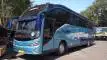 buspariwisata.id - foto bus pariwisata big bird i