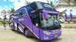 buspariwisata.id - foto bus pariwisata fani jaya trans d