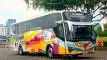 buspariwisata.id - foto bus pariwisata mata trans f