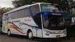 buspriwisata.id - logo bus pariwisata wali songo d