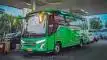 buspriwisata.id - foto bus pariwisata alfa trans d