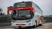 buspriwisata.id - foto bus pariwisata megatrans holiday h