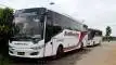 buspariwisata.id - foto bus pariwisata red white star h