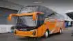 buspariwisata.id - foto bus pariwisata sidiq trans d