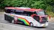 buspariwisata.id - foto bus pariwisata b16 d