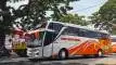 buspriwisata.id - foto bus pariwisata mega citra wisata f
