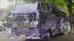 buspriwisata.id - foto bus pariwisata kurnia trans jaya d