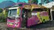 buspriwisata.id - foto bus pariwisata aneka cabe c