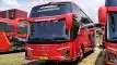 buspariwisata.id - foto bus pariwisata mitra rahayu d