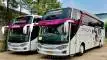 buspariwisata.id - foto bus pariwisata gracias g