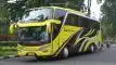 buspariwisata.id - foto bus pariwisata sumber larees e