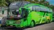 buspariwisata.id - foto bus pariwisata atmajaya trans a