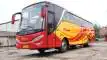 buspariwisata.id - foto bus pariwisata william f