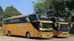 buspariwisata.id - foto bus pariwisata mpremiere d