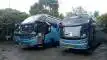 buspariwisata.id - foto bus pariwisata big bird g