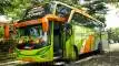 buspriwisata.id - foto bus pariwisata nila trans d