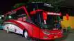 buspariwisata.id - foto bus pariwisata solaris jaya e
