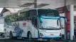 buspariwisata.id - foto bus pariwisata bimo transport d
