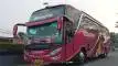 buspriwisata.id - foto bus pariwisata komara e