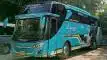 buspriwisata.id - foto bus pariwisata al fayed d