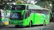 buspriwisata.id - foto bus pariwisata alfa trans g