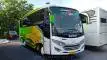 buspariwisata.id - foto bus pariwisata djayalangit d