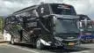 buspriwisata.id - foto bus pariwisata 4 putra jaya trans e